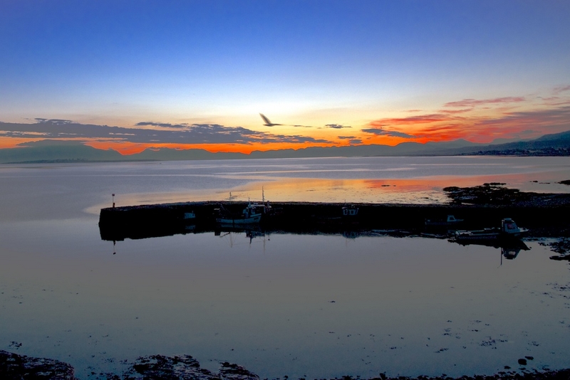556 - LE PETIT PORT S'EVEILLE - DEKONNCK ALAIN - belgium.jpg